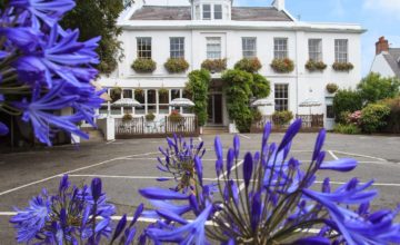 Best dog friendly hotels in the Channel Islands
