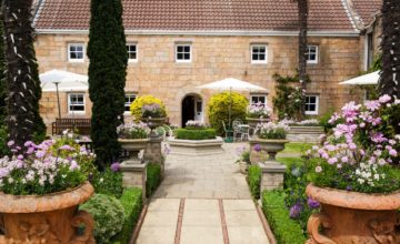 Best dog friendly hotels in the Channel Islands