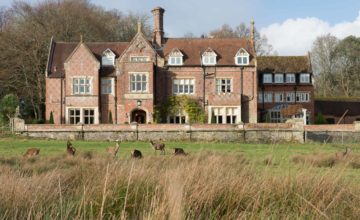 Hotels for Christmas in New Forest